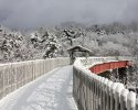 Centennial Trail in the Winter